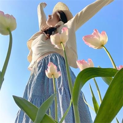飞鹰艾迪